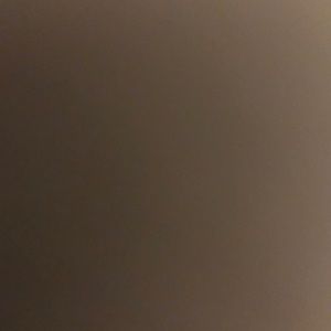 Meet your Posher, Genesis